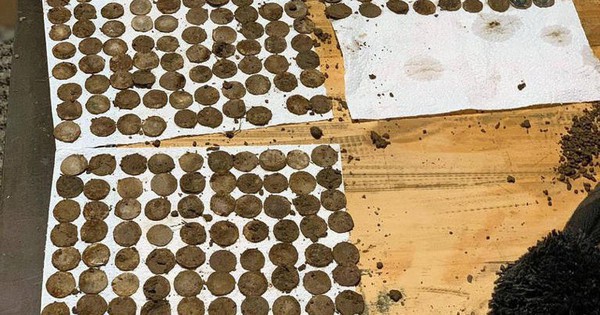 Đào đất, 2 người đàn ông tìm thấy "kho báu" khổng lồ trên cánh đồng avatar1736411670151 1736411670331353418768jpg