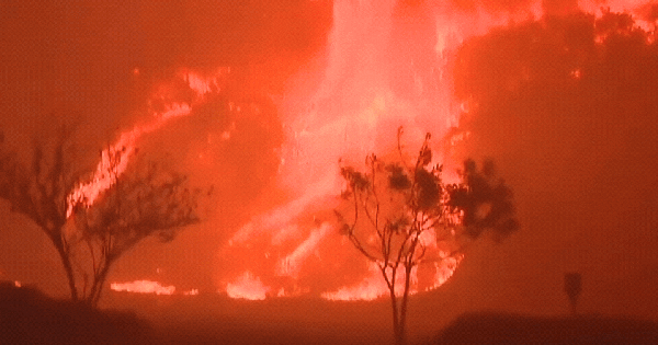 "Cơn gió của quỷ" là nguyên nhân khiến Los Angeles chìm trong thảm hoạ lịch sử: Đoạn clip vạch trần chính xác những gì đang diễn ra avatar1736416641571 17364166420351080954088 0 0 503 960 crop 17364167701162069235785gifpng