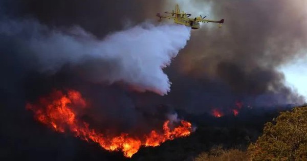 Hàng loạt buổi ra mắt và sự kiện giải trí tại Hollywood bị hủy avatar1736429628121 1736429628231819068488 43 0 400 681 crop 1736429708213742435148jpg