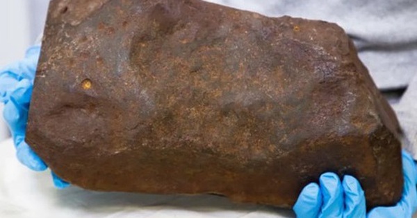 Anh nông dân nhặt được cục đá đen sì, tưởng thứ vứt đi ai ngờ lại "quý hơn vàng” avatar1736577865606 1736577866557722499260 0 65 315 569 crop 17365779034681334954179jpg