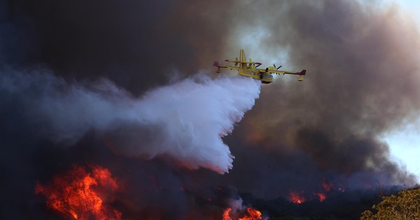 Cái chết thương tâm của sao nhí trong vụ cháy kinh hoàng avatar1736739363627 17367393654601165656218jpeg