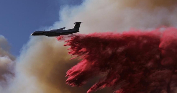 Thảm họa cháy rừng ở Mỹ: "Ngày nguy hiểm nhất" sắp đến avatar1736750049600 1736750050142774432314 0 40 315 544 crop 17367500728451003484829jpg