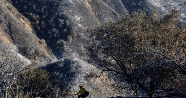 Các nguồn gây cháy nào có thể dẫn đến cháy rừng khủng khiếp ở California? avatar1736755876447 17367558775471755407011 0 114 274 552 crop 1736755924284142080747jpg