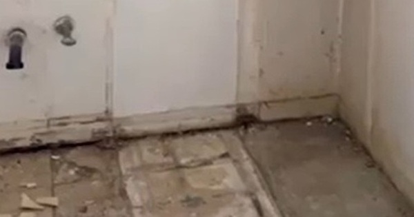 Sửa nhà, một gia đình phát hiện điều đáng sợ khi sàn phòng tắm bị đào lên avatar1736770768538 17367707698591608507199 0 38 315 542 crop 1736770777438494087514jpg