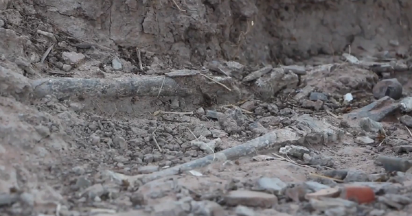 Clip: Cuốc đất trồng sắn, anh nông dân phát hiện thứ "không thể tin nổi" avatar1736826906130 17368269109651476039215png