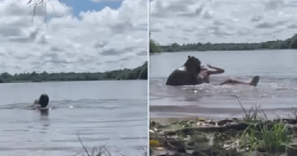 Đang bơi ở hồ, cô gái bất ngờ bị con chuột lang nước khổng lồ tấn công, video khiến người xem nín thở avatar1736828550138 17368285504132093599399gifpng