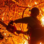 "Hỏa ngục đốt 150 tỷ USD" tại Mỹ đang giải phóng thứ siêu độc: Nhiễm vào máu có thể gây chết người avatar1736840608769 17368406093971126943708png