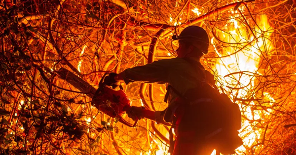 "Hỏa ngục đốt 150 tỷ USD" tại Mỹ đang giải phóng thứ siêu độc: Nhiễm vào máu có thể gây chết người avatar1736840608769 17368406093971126943708png