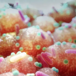 40 triệu người trên thế giới có thể tử vong vì kháng thuốc kháng sinh avatar1736856869399 1736856869794517836623 0 0 390 745 crop 17368568922451731965920png