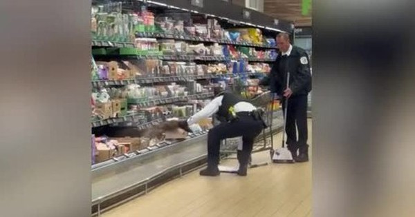 "Thú dữ" ẩn nấp trong siêu thị, cảnh sát phải ra tay bắt giữ avatar1736913918517 1736913928863587538030 0 0 314 600 crop 1736914174733391031473jpg