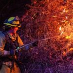 Hiểm họa đang đến sau cháy rừng khủng khiếp ở California avatar1736926140298 17369261431991445716417 0 116 274 554 crop 1736926181742369357904jpg