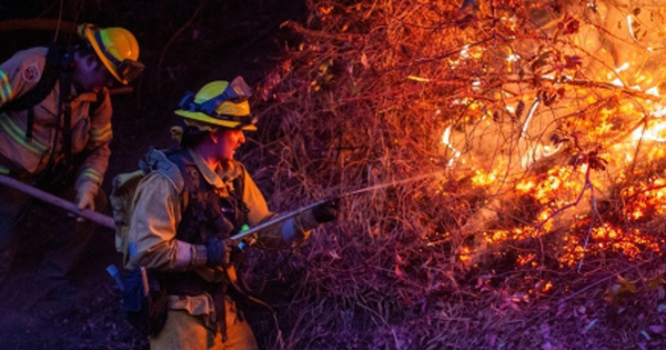 Hiểm họa đang đến sau cháy rừng khủng khiếp ở California avatar1736926140298 17369261431991445716417 0 116 274 554 crop 1736926181742369357904jpg