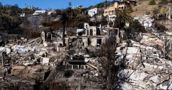 Thảm họa cháy rừng ở California ảnh hưởng đến Hollywood thế nào? avatar1737169494358 17371694946111965812834 0 87 274 526 crop 17371695258071381753616jpeg