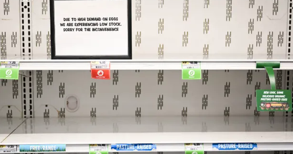 Mỹ đối mặt nguy cơ khan hiếm trứng nghiêm trọng do cúm A/H5N1 avatar1737253013375 17372530138431809067069 0 2 382 613 crop 1737253026418578029862png