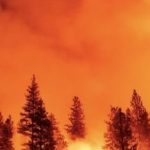 Sức gió tăng mạnh, California đối mặt với đợt cháy rừng mới avatar1737515056501 1737515057077721955786 0 82 273 519 crop 1737515074362436700627jpeg