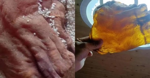 Dọn thùng gạo phát hiện kho báu gia truyền trị giá tương đương 1 căn nhà avatar1737589830747 1737589831070831768904jpg