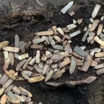 Đám trẻ phát hiện 1 “thanh sắt gỉ”, chuyên gia lập tức yêu cầu phong tỏa cả ngọn núi: Kho báu 2.700 năm tuổi được tìm thấy sau 90 ngày đêm khai quật avatar1737718688221 17377186885161875763508png