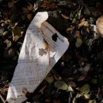 Thành phố Los Angeles (Mỹ) chuẩn bị ứng phó với dòng nước mưa độc hại sau cháy rừng avatar1737943706055 1737943706465414231723jpg