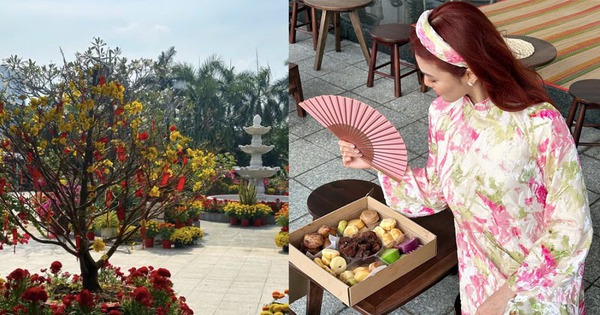 Biệt thự ngày giáp Tết phủ đầy hoa tươi của cháu dâu gia tộc giàu có bậc nhất Việt Nam avatar1737984529842 1737984531866212570026jpg