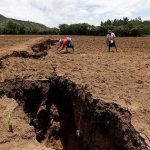 Lục địa Châu Phi đang tách đôi với tốc độ khó tin, vượt mọi dự báo: Đại dương mới liệu có xuất hiện? avatar1737986313613 17379863138867630479jpg