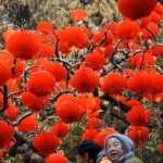 Phong tục ngày đầu Năm mới tại các nước châu Á avatar1738114643487 1738114643824837305133 0 129 278 573 crop 17381146700761660755069jpg