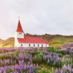 Iceland: Hạnh phúc là không ai bị bỏ lại phía sau và sống tích cực avatar1738124009458 17381240099901055961661 0 29 274 467 crop 17381240308161332980878jpg