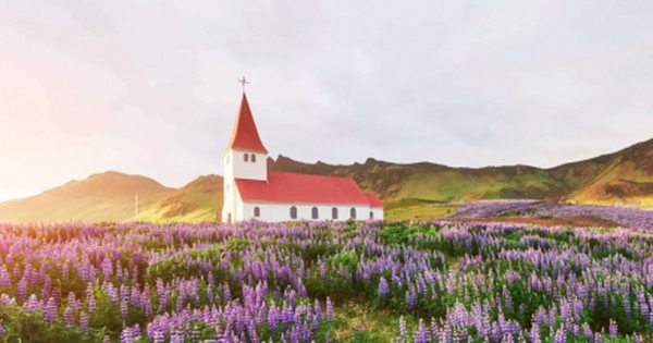 Iceland: Hạnh phúc là không ai bị bỏ lại phía sau và sống tích cực avatar1738124009458 17381240099901055961661 0 29 274 467 crop 17381240308161332980878jpg