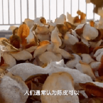 "Vàng" mọc trên cây ở TQ: Gần 250 triệu chỉ mua được nửa kg, vua Khang Hy đề danh "Đệ nhất thiên hạ" avatar1738132894123 1738132894647583703375gifpng