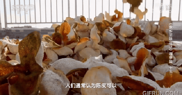 "Vàng" mọc trên cây ở TQ: Gần 250 triệu chỉ mua được nửa kg, vua Khang Hy đề danh "Đệ nhất thiên hạ" avatar1738132894123 1738132894647583703375gifpng