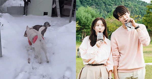 Hot: Cặp đôi When The Phone Rings lộ "hint" hẹn hò ngay đầu năm, đàng gái vội vàng xóa clip avatar1738301787810 17383017886851101948083 0 0 314 600 crop 1738301942976997944382gifpng