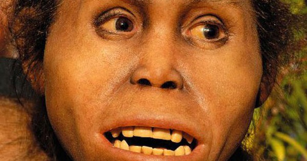 Sinh vật tông Người bí ẩn khai phá Âu - Á 2 triệu năm trước? avatar1738733612779 17387336131691531466168 0 0 315 504 crop 17387336439181346662420jpg