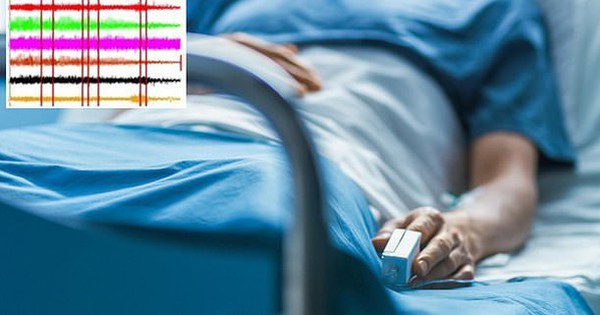 Khoa học lần đầu ghi lại được sóng não của người cận tử, liệu thực sự có trải nghiệm "tua ngược cuộc đời"? avatar1738743348775 1738743349036982333072 0 0 314 600 crop 17387434310561567224477jpg