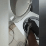 Gia chủ hoảng sợ khi thấy rắn lớn trong bồn cầu, nhân viên cứu hộ tới nơi thì chứng kiến cảnh khó tin avatar1738913582131 1738913582828866274122 0 16 202 339 crop 1738913598370565743864gifpng