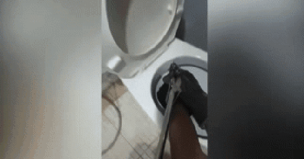 Gia chủ hoảng sợ khi thấy rắn lớn trong bồn cầu, nhân viên cứu hộ tới nơi thì chứng kiến cảnh khó tin avatar1738913582131 1738913582828866274122 0 16 202 339 crop 1738913598370565743864gifpng