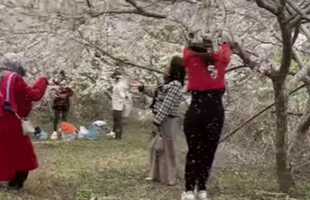 Bỏ ra 15.000 đồng rồi có hành động khó chấp nhận, ba cô gái bất chấp để sống ảo khiến người xem bức xúc avatar1738980334913 17389803356521959036678png