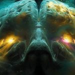 Các nhà khoa học đã phát hiện ra một cách để não học cách vượt qua nỗi sợ hãi bản năng avatar1738995293177 1738995293397817877799 0 42 315 546 crop 17389953134911496292290jpeg