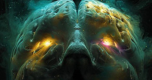 Các nhà khoa học đã phát hiện ra một cách để não học cách vượt qua nỗi sợ hãi bản năng avatar1738995293177 1738995293397817877799 0 42 315 546 crop 17389953134911496292290jpeg