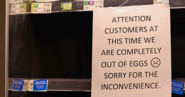 Táo tợn đánh cắp 100.000 quả trứng trị giá hơn 1 tỷ đồng avatar1739010843226 17390108434751146261328 0 174 563 1074 crop 173901086949761804527png