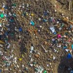 99% mẫu hải sản tại Mỹ bị nhiễm vi nhựa, gây lo ngại về an toàn thực phẩm avatar1739071322273 1739071322517240270391jpg