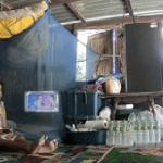 Đang ngồi trong nhà, người phụ nữ hoảng sợ khi 1 con vật to lớn xuất hiện, chuyên gia cảnh báo nguy hiểm avatar1739162906760 17391629070471322314191 0 0 202 323 crop 1739163507230155616156gifpng