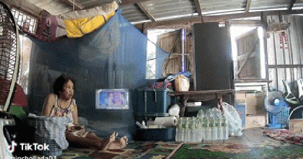 Đang ngồi trong nhà, người phụ nữ hoảng sợ khi 1 con vật to lớn xuất hiện, chuyên gia cảnh báo nguy hiểm avatar1739162906760 17391629070471322314191 0 0 202 323 crop 1739163507230155616156gifpng