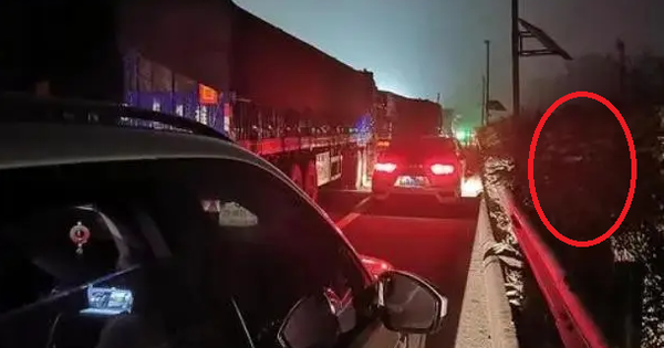 Dừng xe trên cao tốc “giải quyết nỗi buồn”, người đàn ông bỗng mất tích bí ẩn: Vợ con phải cầu cứu cảnh sát avatar1739195727735 17391957282112121924048 27 0 408 610 crop 17391957437571946146921png