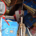 Hàng nghìn sim điện thoại bị vứt bỏ bên bờ sông Mekong: Nghi vấn liên quan đến các băng nhóm lừa đảo avatar1739343280555 17393432807711204045761png