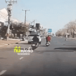 Đang đi trên đường, các tài xế hoảng hốt khi thấy "vật lạ" xuất hiện, lập tức xuống xe can thiệp avatar1739343717720 17393437180341777433178 0 20 202 343 crop 17393437655241653899682gifpng