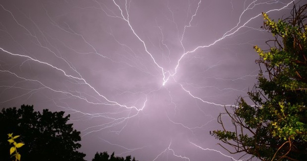 Trú ẩn dưới gốc cây, 4 người phụ nữ bị sét đánh tử vong avatar1739349698003 17393496984911156223379jpg