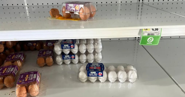 Mỹ: Lần đầu tiên trong lịch sử, giá trứng phá đỉnh, 100.000 quả bị đánh cắp khỏi siêu thị, món ăn bình dân tăng giá điên rồ hơn 100% thành hàng hiếm avatar1739427954005 1739427954354331098712png