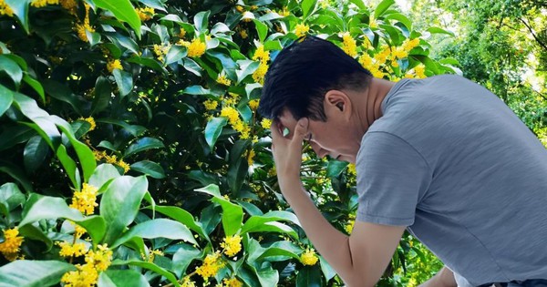 Người đàn ông chặt cây mộc hương trong vườn nhà, bất ngờ bị hàng xóm đòi bồi thường 1 tỷ đồng: Toà án ra phán quyết không ngờ avatar1739432983536 1739432983852411072030 54 0 729 1080 crop 17394329973951934327553jpg