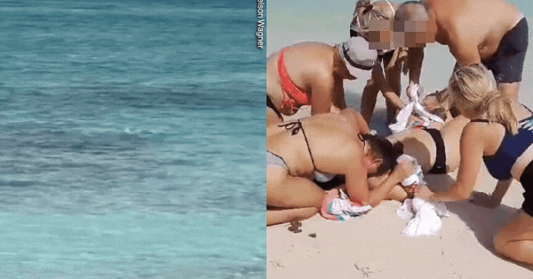 Kinh hoàng người phụ nữ bị cá mập cắn cụt 2 bàn tay khi cố gắng đến gần để chụp ảnh avatar1739594366052 17395943666101931464237gifpng