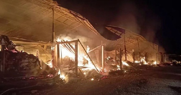 48.000 con gà bị nướng cháy trong vụ hỏa hoạn ở trang trại gia cầm avatar1739638610572 1739638610791290297563 0 19 315 523 crop 1739638625433869012694jpg