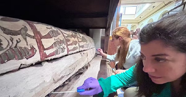 Ngửi mùi 9 xác ướp Ai Cập, các nhà khoa học bị sốc avatar1739849120819 17398491212061904028086 0 0 314 600 crop 17398491625961779003344jpg